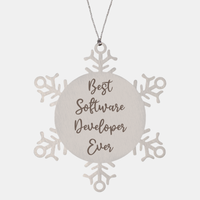Load image into Gallery viewer, Best Software Developer Ever Ornament Christmas Gift for Him Her Snowflake Ornament – front view
