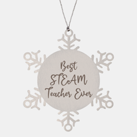 Load image into Gallery viewer, Best STEAM Teacher Ever Ornament Christmas Gift for Him Her Snowflake Ornament – front view
