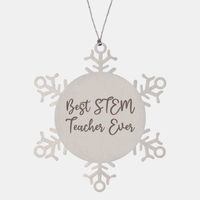 Load image into Gallery viewer, Best STEM Teacher Ever Ornament Christmas Gift for Him Her Snowflake Ornament – front view
