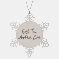 Load image into Gallery viewer, Best Tax Auditor Ever Ornament Christmas Gift for Him Her Snowflake Ornament – front view

