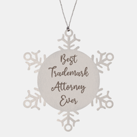 Load image into Gallery viewer, Best Trademark Attorney Ever Ornament Christmas Gift for Him Her Snowflake Ornament – front view
