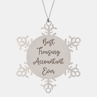 Load image into Gallery viewer, Best Treasury Accountant Ever Ornament Christmas Gift for Him Her Snowflake Ornament – front view
