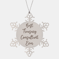 Load image into Gallery viewer, Best Treasury Consultant Ever Ornament Christmas Gift for Him Her Snowflake Ornament – front view
