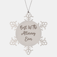 Load image into Gallery viewer, Best WTO Attorney Ever Ornament Christmas Gift for Him Her Snowflake Ornament – front view
