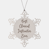 Load image into Gallery viewer, Best Clinical Instructor Ever Ornament, Christmas Gift for Him Her, Stainless Steel Snowflake Ornament – front view

