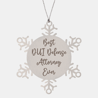 Load image into Gallery viewer, Best DUI Defense Attorney Ever Ornament, Christmas Gift for Him Her, Stainless Steel Snowflake Ornament – front view
