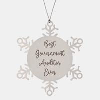Load image into Gallery viewer, Best Government Auditor Ever Ornament, Christmas Gift for Him Her, Stainless Steel Snowflake Ornament – front view
