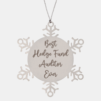 Load image into Gallery viewer, Best Hedge Fund Auditor Ever Ornament, Christmas Gift for Him Her, Stainless Steel Snowflake Ornament – front view
