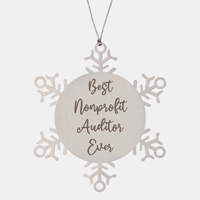 Load image into Gallery viewer, Best Nonprofit Auditor Ever Ornament, Christmas Gift for Him Her, Stainless Steel Snowflake Ornament – front view
