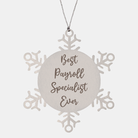 Load image into Gallery viewer, Best Payroll Specialist Ever Ornament, Christmas Gift for Him Her, Stainless Steel Snowflake Ornament – front view
