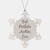 Load image into Gallery viewer, Best Portfolio Auditor Ever Ornament, Christmas Gift for Him Her, Stainless Steel Snowflake Ornament – front view
