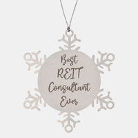 Load image into Gallery viewer, Best REIT Consultant Ever Ornament, Christmas Gift for Him Her, Stainless Steel Snowflake Ornament – front view
