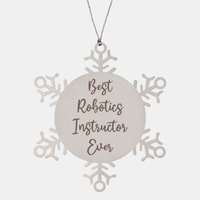 Load image into Gallery viewer, Best Robotics Instructor Ever Ornament, Christmas Gift for Him Her, Stainless Steel Snowflake Ornament – front view
