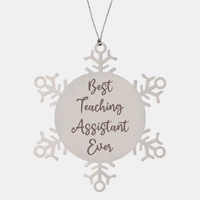 Load image into Gallery viewer, Best Teaching Assistant Ever Ornament, Christmas Gift for Him Her, Stainless Steel Snowflake Ornament – front view
