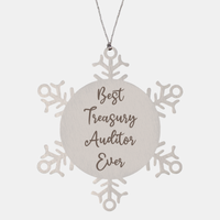 Load image into Gallery viewer, Best Treasury Auditor Ever Ornament, Christmas Gift for Him Her, Stainless Steel Snowflake Ornament – front view
