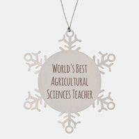 Load image into Gallery viewer, Agricultural Sciences Teacher Ornament Christmas Gift Stainless Steel Snowflake Ornament – front view
