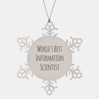 Load image into Gallery viewer, Information Scientist Ornament Christmas Gift Stainless Steel Snowflake Ornament – front view
