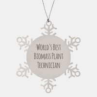 Load image into Gallery viewer, Biomass Plant Technician Ornament Christmas Gift Stainless Steel Snowflake Ornament – front view
