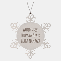 Load image into Gallery viewer, Biomass Power Plant Manager Ornament Christmas Gift Stainless Steel Snowflake Ornament – front view
