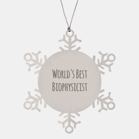 Load image into Gallery viewer, Biophysicist Ornament Christmas Gift Stainless Steel Snowflake Ornament – front view
