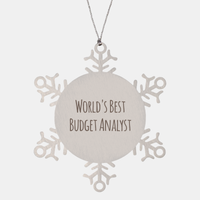 Load image into Gallery viewer, Budget Analyst Ornament Christmas Gift Stainless Steel Snowflake Ornament – front view
