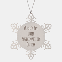 Load image into Gallery viewer, Chief Sustainability Officer Ornament Christmas Gift Stainless Steel Snowflake Ornament – front view
