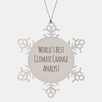 Load image into Gallery viewer, Climate Change Analyst Ornament Christmas Gift Stainless Steel Snowflake Ornament – front view
