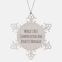 Load image into Gallery viewer, Compensation and Benefits Manager Ornament Christmas Gift Stainless Steel Snowflake Ornament – front view
