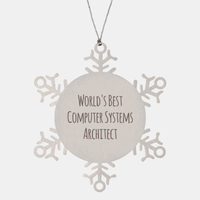 Load image into Gallery viewer, Computer Systems Architect Ornament Christmas Gift Stainless Steel Snowflake Ornament – front view
