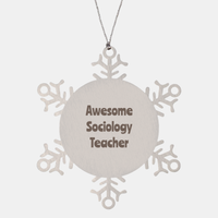 Load image into Gallery viewer, Sociology Teacher Gift Stainless Steel Snowflake Ornament Christmas Gift Awesome – front view
