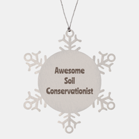 Load image into Gallery viewer, Soil Conservationist Gift Stainless Steel Snowflake Ornament Christmas Gift Awesome – front view
