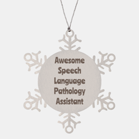 Load image into Gallery viewer, Speech Language Pathology Assistant Gift Stainless Steel Snowflake Ornament Christmas Gift Awesome – front view
