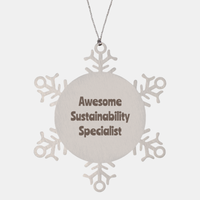 Load image into Gallery viewer, Sustainability Specialist Gift Stainless Steel Snowflake Ornament Christmas Gift Awesome – front view
