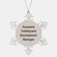 Load image into Gallery viewer, Training and Development Manager Gift Stainless Steel Snowflake Ornament Christmas Gift Awesome – front view
