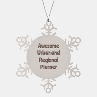 Load image into Gallery viewer, Urban and Regional Planner Gift Stainless Steel Snowflake Ornament Christmas Gift Awesome – front view
