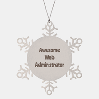 Load image into Gallery viewer, Web Administrator Gift Stainless Steel Snowflake Ornament Christmas Gift Awesome – front view
