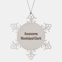 Load image into Gallery viewer, Municipal Clerk Gift Stainless Steel Snowflake Ornament Christmas Gift Awesome – front view
