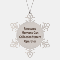 Load image into Gallery viewer, Methane Gas Collection System Operator Gift Stainless Steel Snowflake Ornament Christmas Gift Awesome – front view
