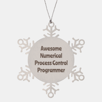 Load image into Gallery viewer, Numerical Process Control Programmer Gift Stainless Steel Snowflake Ornament Christmas Gift Awesome – front view
