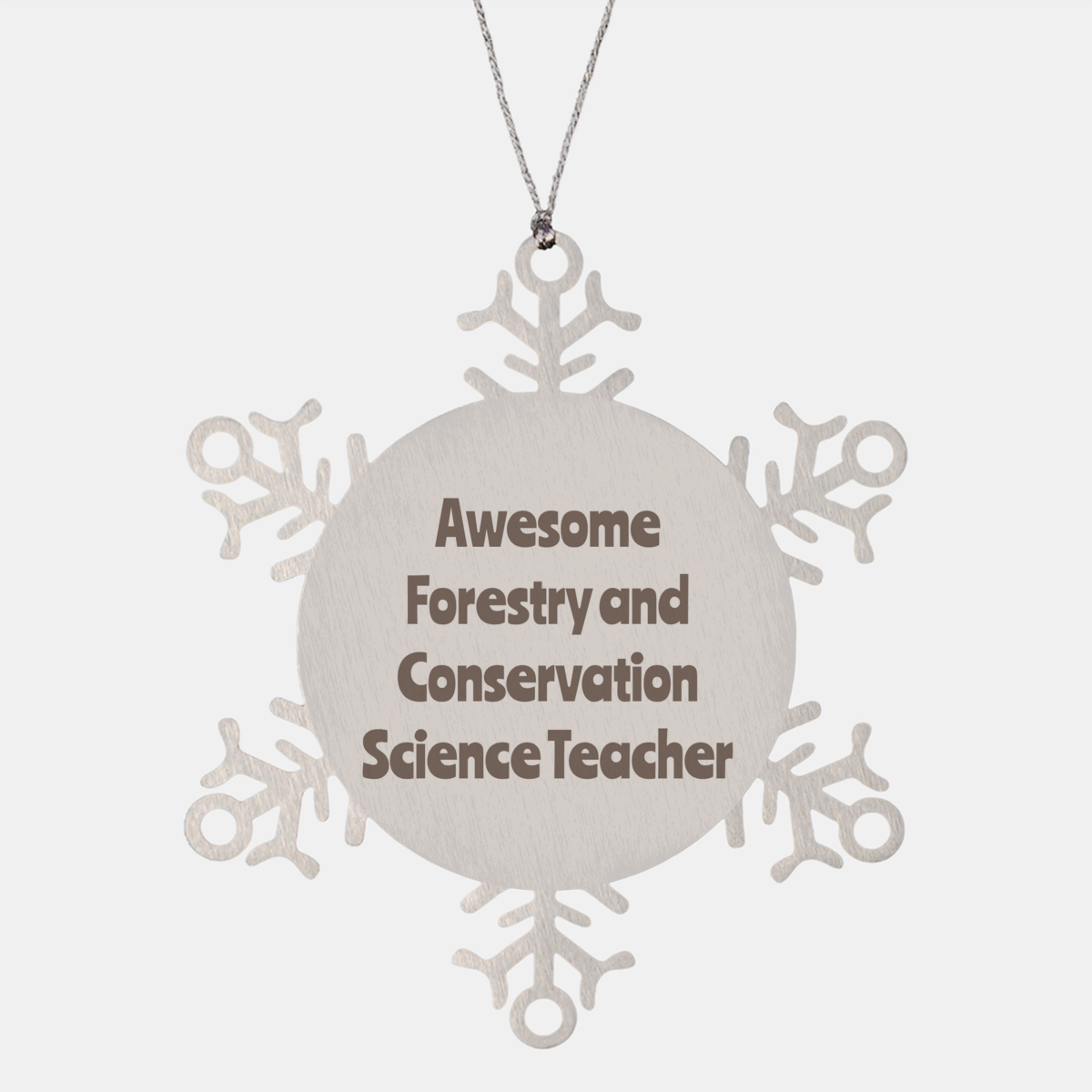 Forestry and Conservation Science Teacher Gift Stainless Steel Snowflake Ornament Christmas Gift Awesome – front view