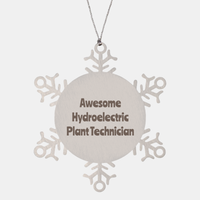 Load image into Gallery viewer, Hydroelectric Plant Technician Gift Stainless Steel Snowflake Ornament Christmas Gift Awesome – front view
