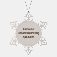 Load image into Gallery viewer, Data Warehousing Specialist Gift Stainless Steel Snowflake Ornament Christmas Gift Awesome – front view
