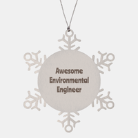 Load image into Gallery viewer, Environmental Engineer Gift Stainless Steel Snowflake Ornament Christmas Gift Awesome – front view
