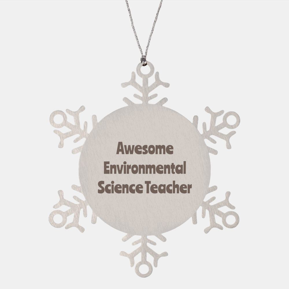 Environmental Science Teacher Gift Stainless Steel Snowflake Ornament Christmas Gift Awesome – front view