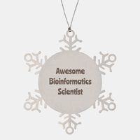 Load image into Gallery viewer, Bioinformatics Scientist Gift Stainless Steel Snowflake Ornament Christmas Gift Awesome – front view
