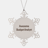 Load image into Gallery viewer, Budget Analyst Gift Stainless Steel Snowflake Ornament Christmas Gift Awesome – front view
