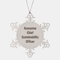 Load image into Gallery viewer, Chief Sustainability Officer Gift Stainless Steel Snowflake Ornament Christmas Gift Awesome – front view
