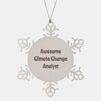 Load image into Gallery viewer, Climate Change Analyst Gift Stainless Steel Snowflake Ornament Christmas Gift Awesome – front view
