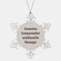 Load image into Gallery viewer, Compensation and Benefits Manager Gift Stainless Steel Snowflake Ornament Christmas Gift Awesome – front view
