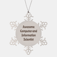 Load image into Gallery viewer, Computer and Information Scientist Gift Stainless Steel Snowflake Ornament Christmas Gift Awesome – front view
